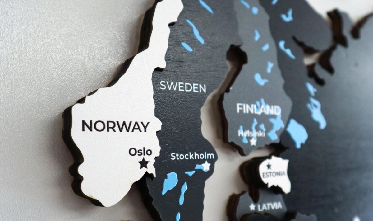 Gray Wooden World Map - Image 5