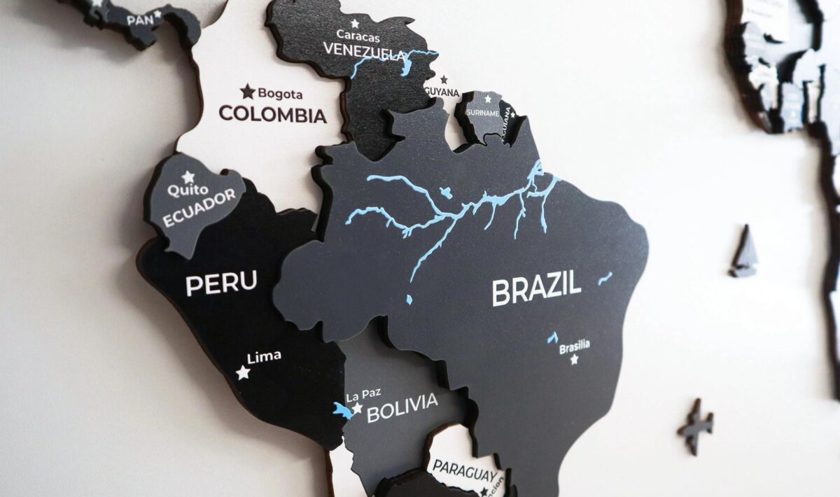Gray Wooden World Map - Image 8