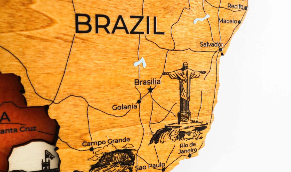 Traveler World Map - Image 10
