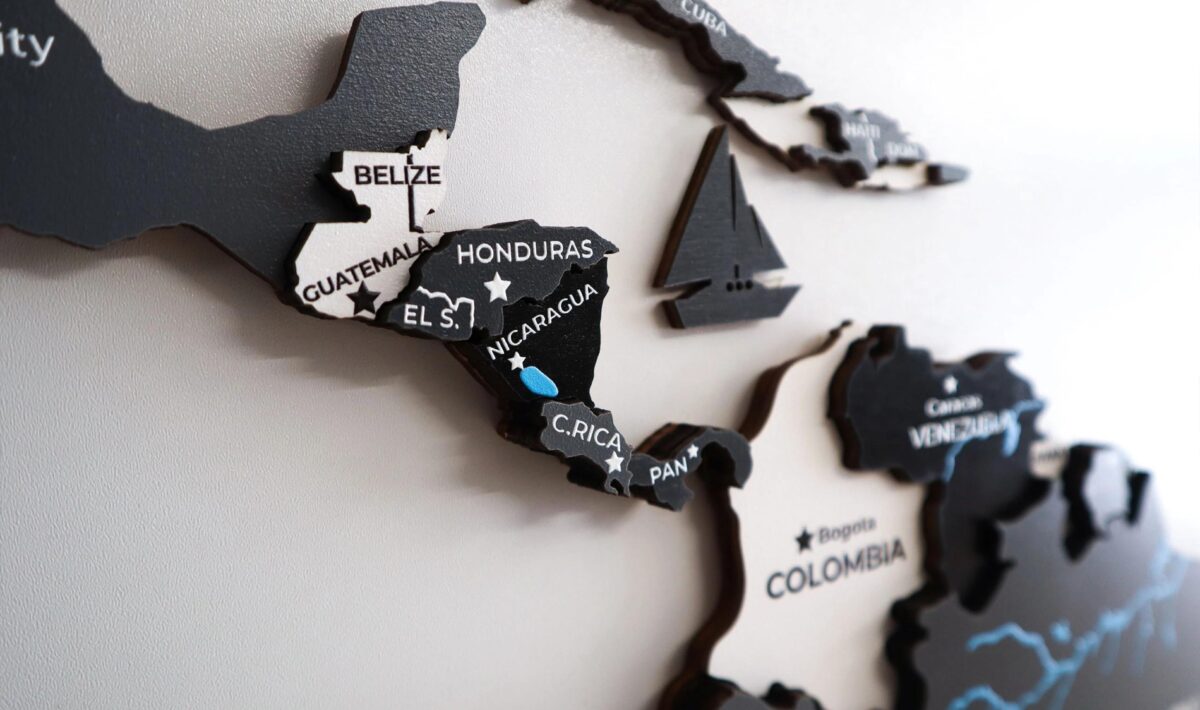 Gray Wooden World Map - Image 9